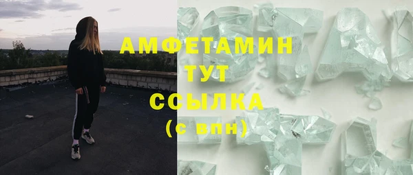 крисы Аркадак