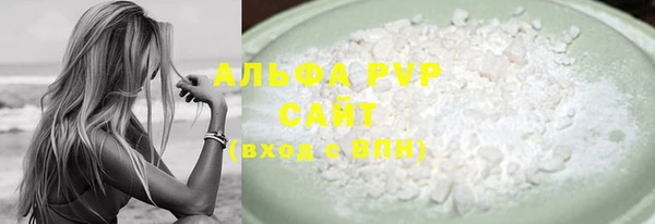 стафф Арсеньев