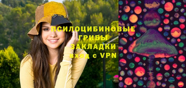 крисы Аркадак
