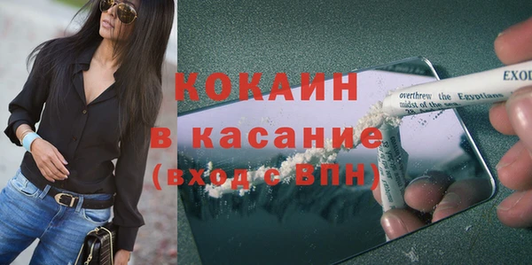 стафф Арсеньев