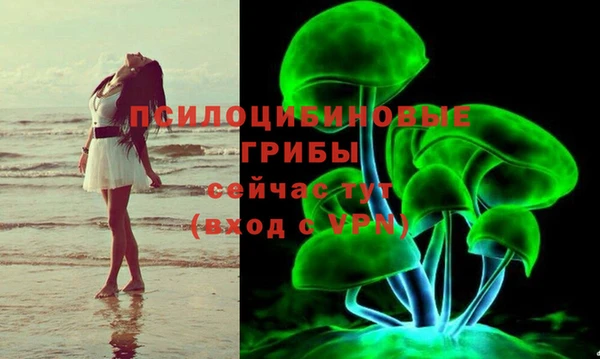 крисы Аркадак